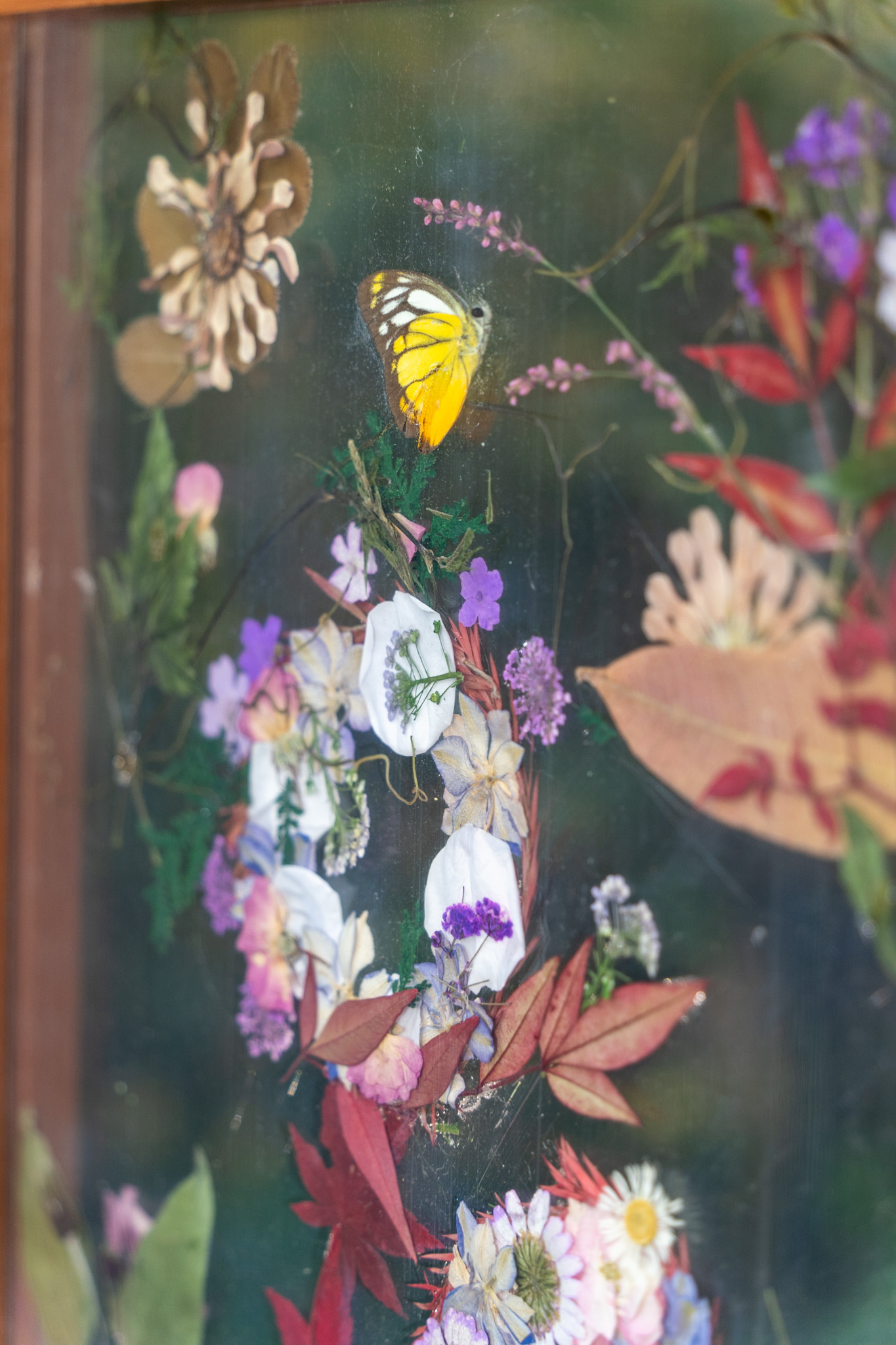 S for Serendipity - Image 2