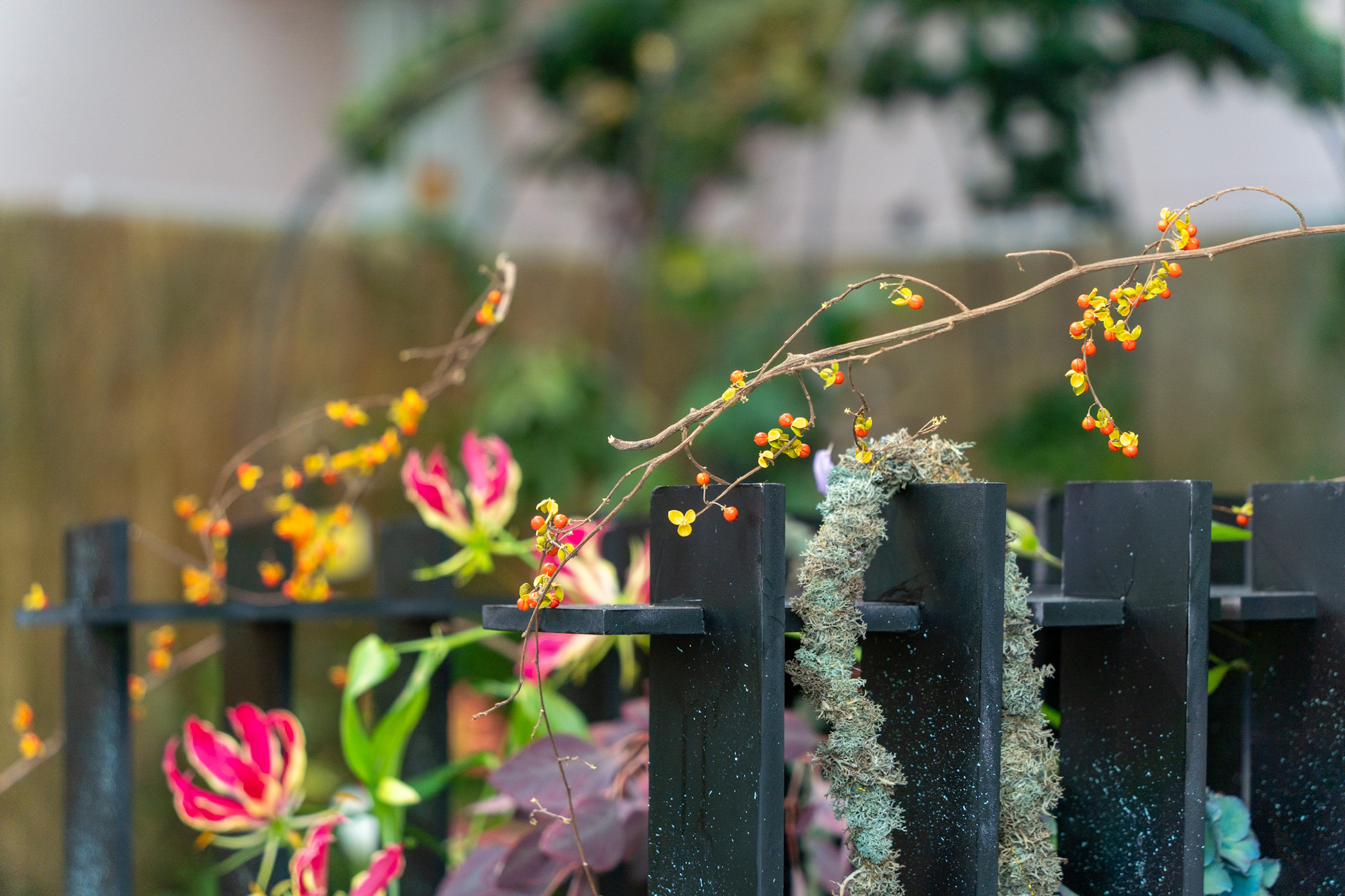 曲影花柔 - Image 3