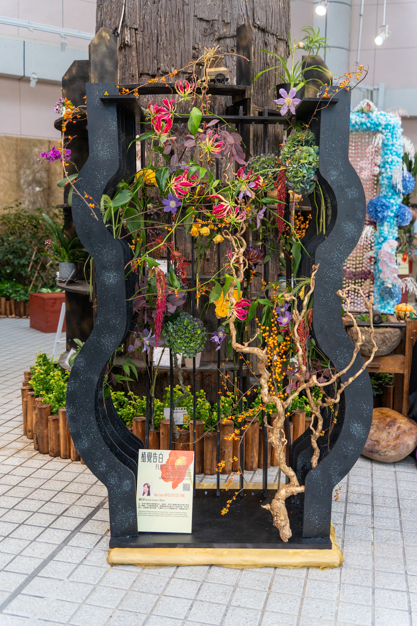 曲影花柔 - Image 1