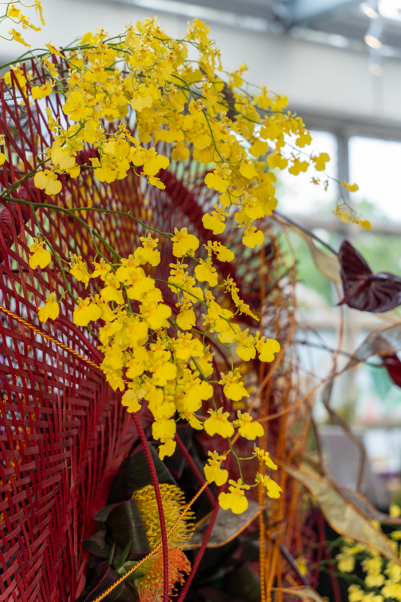 秋之告白 - Image 2